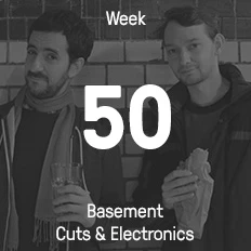 Week 50 / 2014 - Basement Cuts & Electronics