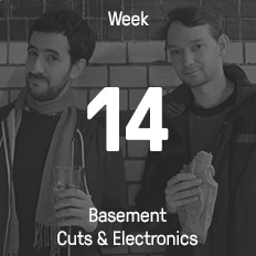 Week 14 / 2015 - Basement Cuts & Electronics