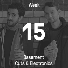 Week 15 / 2015 - Basement Cuts & Electronics