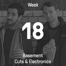 Week 18 / 2015 - Basement Cuts & Electronics