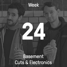Week 24 / 2015 - Basement Cuts & Electronics