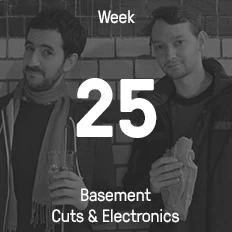 Woche 25 / 2015 - Basement Cuts & Electronics