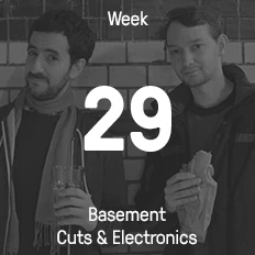 Week 29 / 2015 - Basement Cuts & Electronics