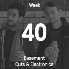 Week 40 / 2015 - Basement Cuts & Electronics