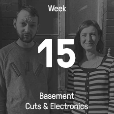 Week 15 / 2016 - Basement Cuts & Electronics