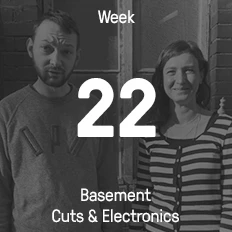 Week 22 / 2016 - Basement Cuts & Electronics