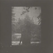 Grouper - Ruins 2023 Vinyl Repress