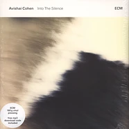 Avishai Cohen - Into The Silence