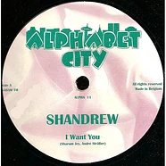 Shandrew - I Want You