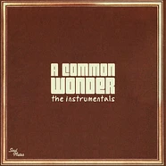 Common vs. Stevie Wonder - A Common Wonder Instrumentals