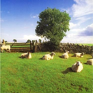 The KLF - Chill Out