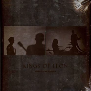 Kings Of Leon - When You See Yourself Deluxe Silver Swirl Edition