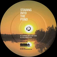 Joey Anderson - Staring Into The Pond