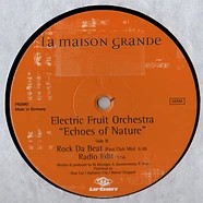 Electric Fruit Orchestra - Echoes Of Nature