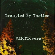 Trampled By Turtles - Wildflowers