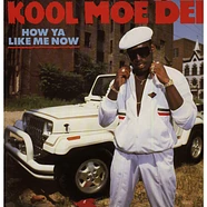 Kool Moe Dee - How Ya Like Me Now