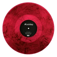 Plant43 - Frozen Monarch Magenta & Black Marbled Vinyl Edition