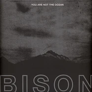 Bison - You Are Not The Ocean You Are The Patient Clear Vinyl Edition