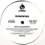 Ginuwine - What’s So Different