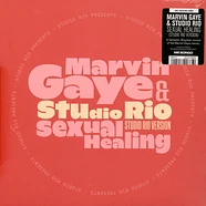 Marvin Gaye & Studio Rio - Sexual Healing