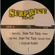 Sean Paul / Assassin - Surprise Remix
