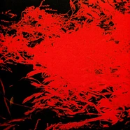 Anthony Naples - In Studio Magic