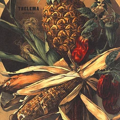 Thelema - Stilllife Splatter Vinyl Edition