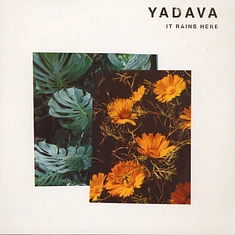 Yadava - It Rains Here