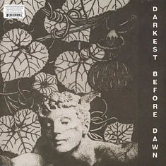 Dark Day - Darkest Before Dawn