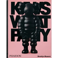 Kaws With Daniel Birnbaum & Eugenie Tsai - What Party