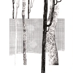 V.A. - Systema Naturae I