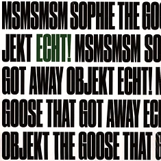 Echt! - MSMSMSM / The Goose That Got Away