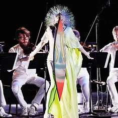Björk - Vulnicura Strings