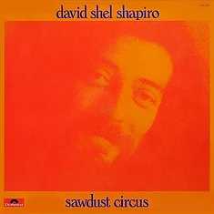 Shel Shapiro - Sawdust Circus