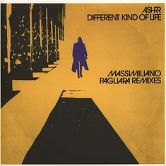 Ashrr - Different Kind Of Life Massimiliano Pagliara Remixes