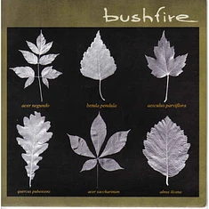 Bushfire - Bushfire