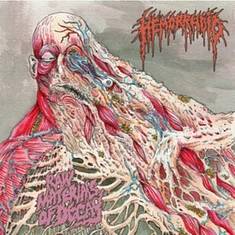 Hemorrhoid - Raw Materials Of Decay