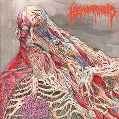 Hemorrhoid - Raw Materials Of Decay