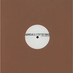 Daniel Stefanik - Dambala Experience