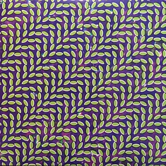 Animal Collective - Merriweather Post Pavilion