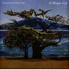 Chaos In The CBD - A Deeper Life