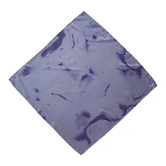Ante - Silk Scarf