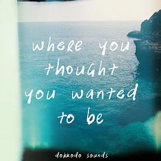 Dokkodo Sounds - Where You Thought You Wanted To Be