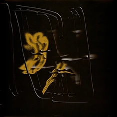 Laimonas - Fragile Signals EP