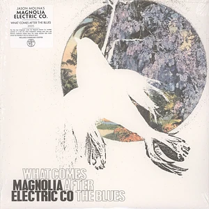 Magnolia Electric Co - What comes after the blues