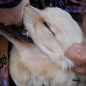Christian Fennesz & Jim O'Rourke - It's Hard For Me To Say I'm Sorry
