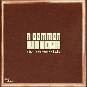 Common vs. Stevie Wonder - A Common Wonder Instrumentals