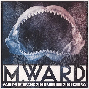 M. Ward - What A Wonderful Industry Clear Vinyl Edition
