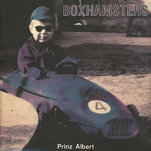 Boxhamsters - Prinz Albert