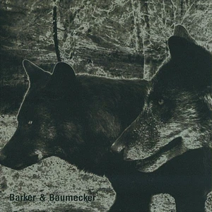 Barker & Baumecker - Transsektoral